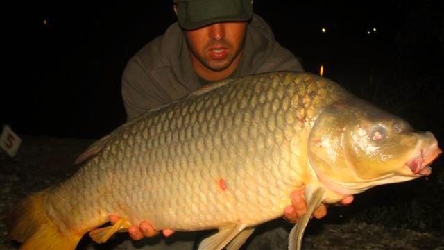 Hermes Peris 17 - 19 iul. - 6.JPG